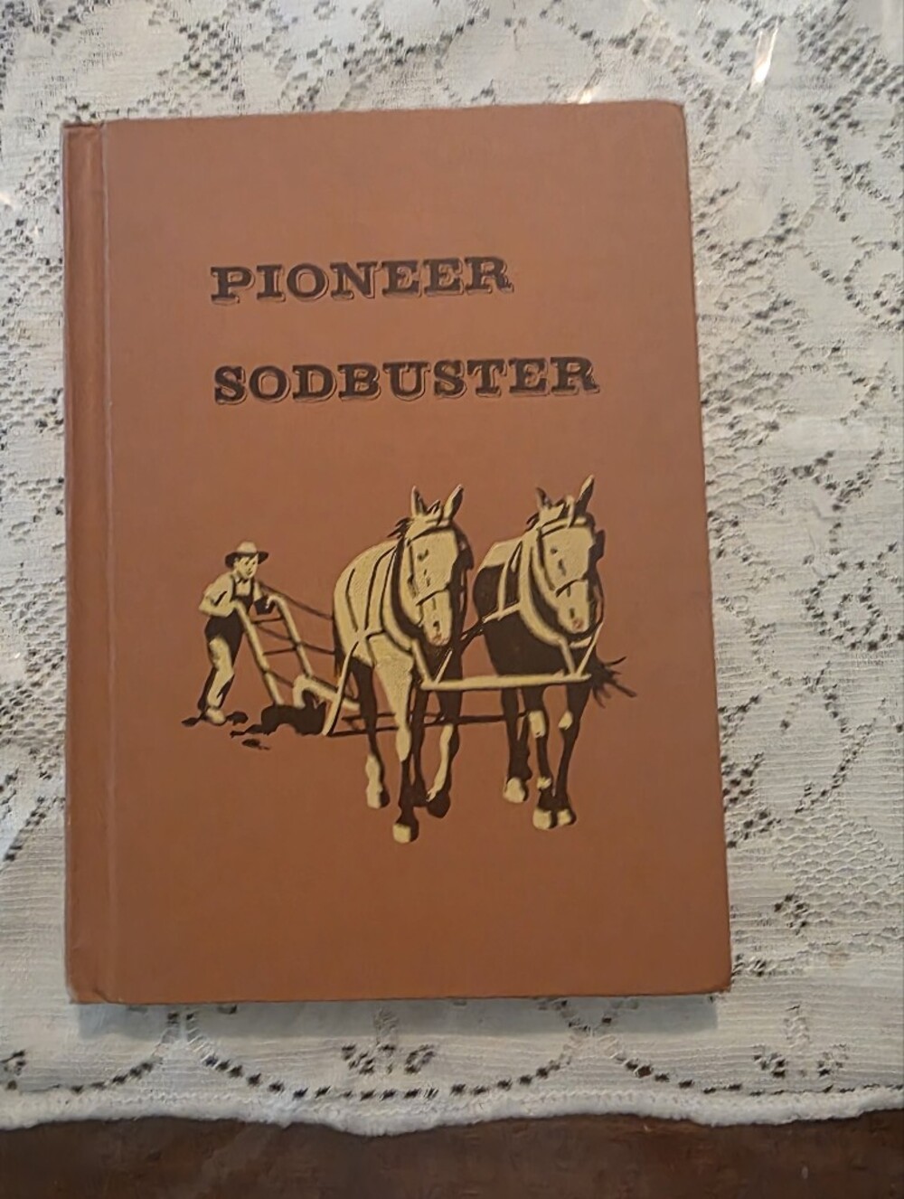 Pioneer Sodbuster Berthold Hayes Illustrated Hardcover 1958 Benefic Press